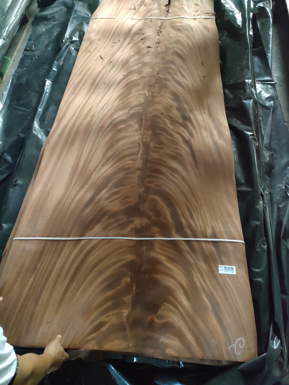 Ván gỗ veneer