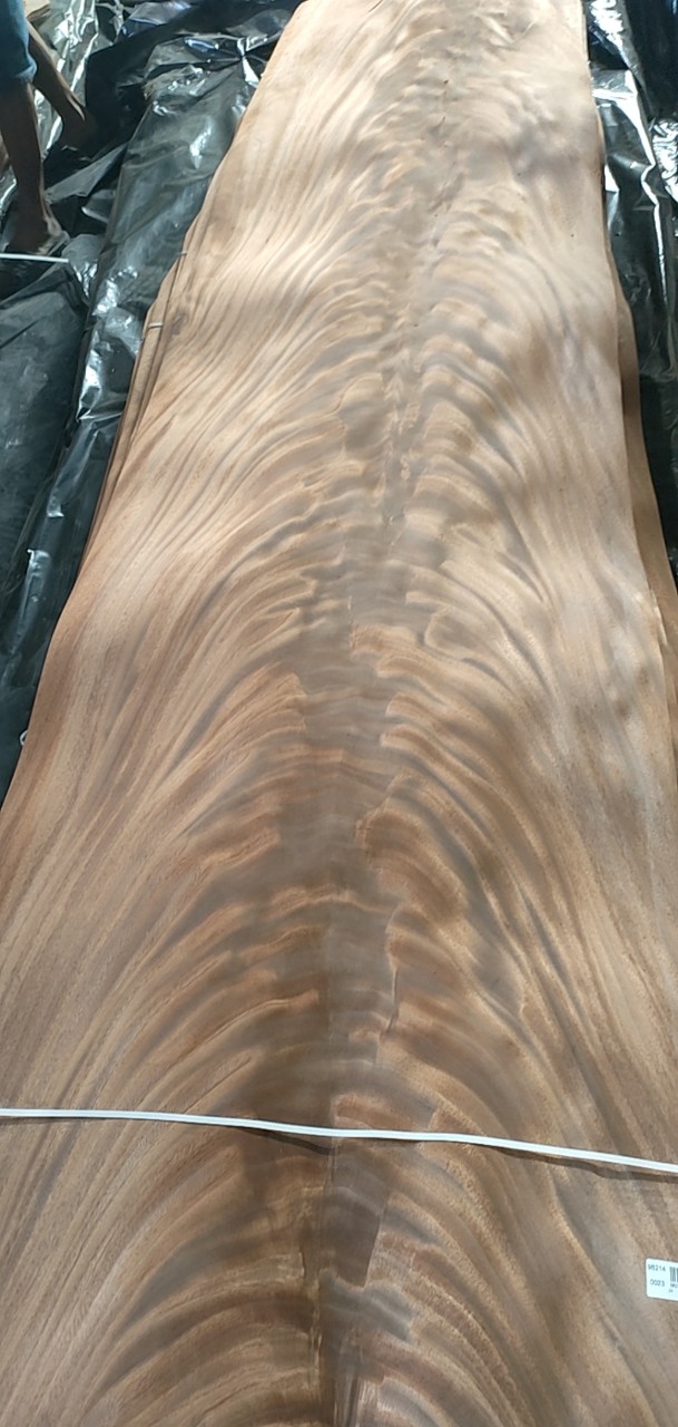 Ván gỗ veneer