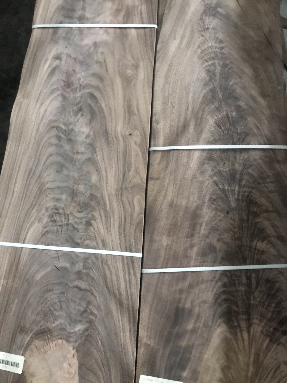 Ván gỗ veneer